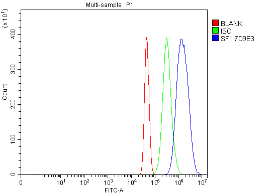 1 - Anti-splicing factor 1 Antibody Picoband™ (monoclonal, 7D9E3) ABO15101