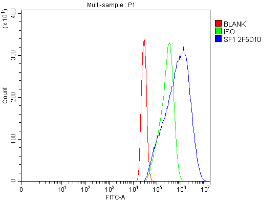 1 - Anti-splicing factor 1 Antibody Picoband™ (monoclonal, 2F5D10) ABO15102