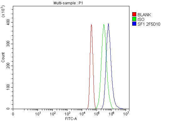 1 - Anti-splicing factor 1 Antibody Picoband™ (monoclonal, 2F5D10) ABO15102