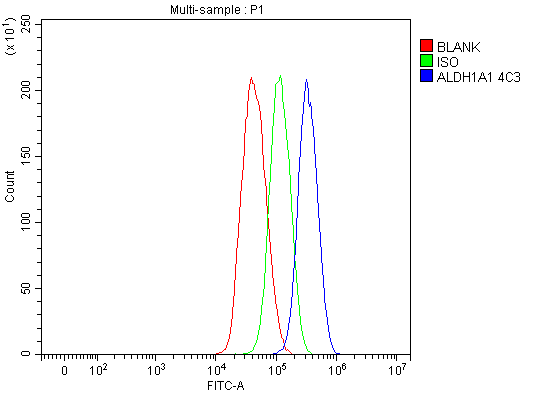 1 - Anti-ALDH1A1 Antibody Picoband™ (monoclonal, 4C3) ABO15104