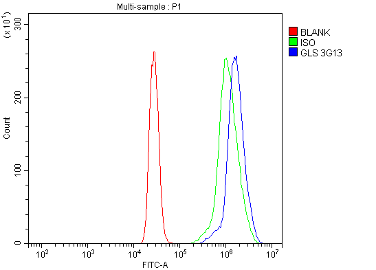 1 - Anti-Glutaminase/GLS Antibody Picoband™ (monoclonal, 3G13) ABO15106