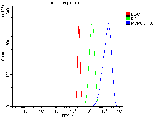 1 - Anti-MCM6 Antibody Picoband™ (monoclonal, 3I4C8) ABO15109