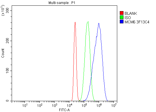 1 - Anti-MCM6 Antibody Picoband™ (monoclonal, 3F13C4) ABO15110