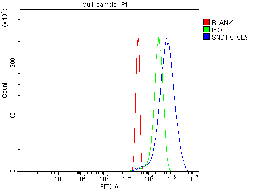 1 - Anti-SND1 Antibody Picoband™ (monoclonal, 5F5E9) ABO15112