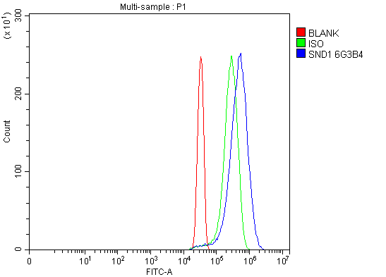 1 - Anti-SND1 Antibody Picoband™ (monoclonal, 6G3B4) ABO15113