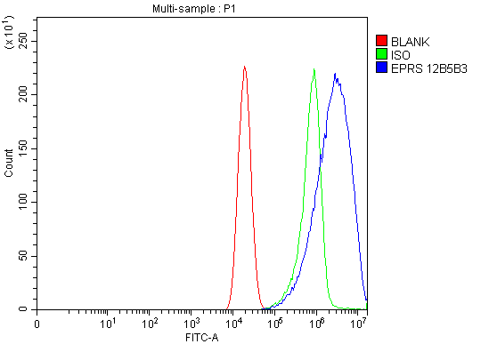 1 - Anti-EPRS1/PARS Antibody Picoband™ (monoclonal, 12B5B3) ABO15114