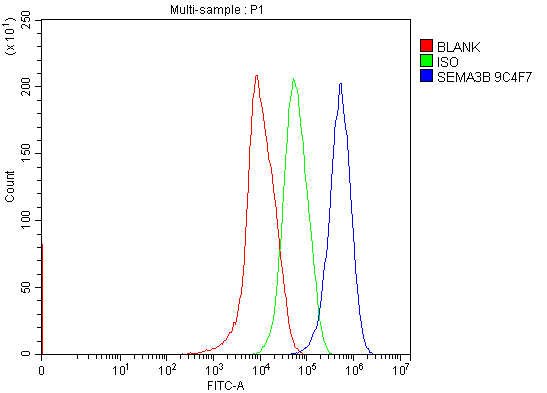 1 - Anti-Semaphorin 3B/SEMA3B Antibody Picoband™ (monoclonal, 9C4F7) ABO15117