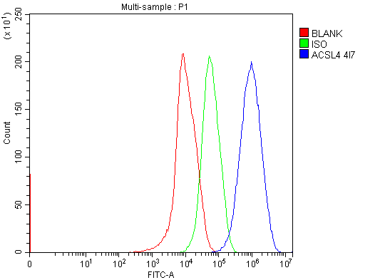 1 - Anti-FACL4/ACSL4 Antibody Picoband™ (monoclonal, 4I7) ABO15120