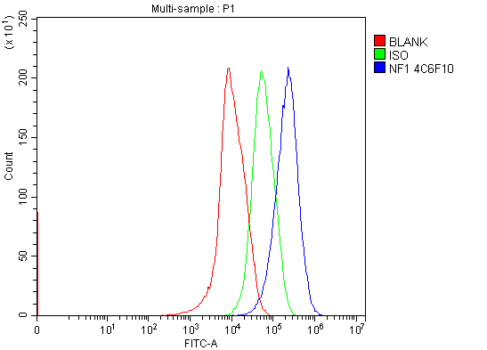 1 - Anti-Neurofibromin/NF1 Antibody Picoband™ (monoclonal, 4C6F10) ABO15121