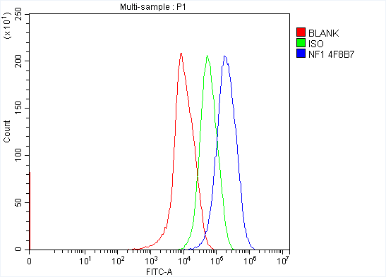 1 - Anti-Neurofibromin/NF1 Antibody Picoband™ (monoclonal, 4F8B7) ABO15122