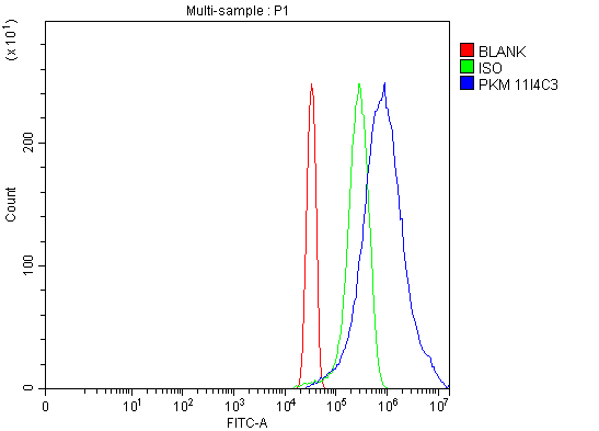 1 - Anti-PKM2 Antibody Picoband™ (monoclonal, 11I4C3) ABO15123