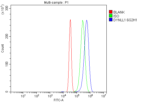 1 - Anti-DYNLL1/PIN Antibody Picoband™ (monoclonal, 6G2H1) ABO15125
