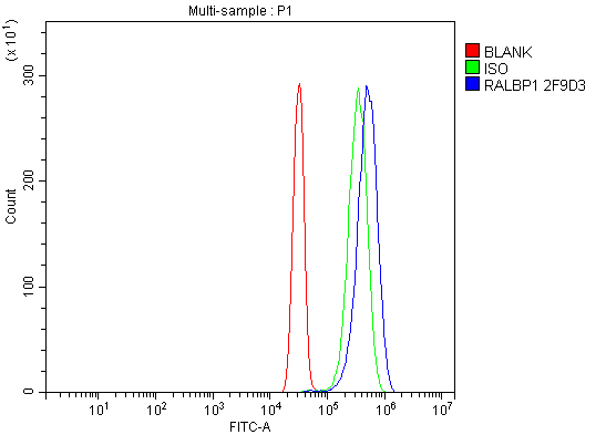 1 - Anti-RALBP1 Antibody Picoband™ (monoclonal, 2F9D3) ABO15126