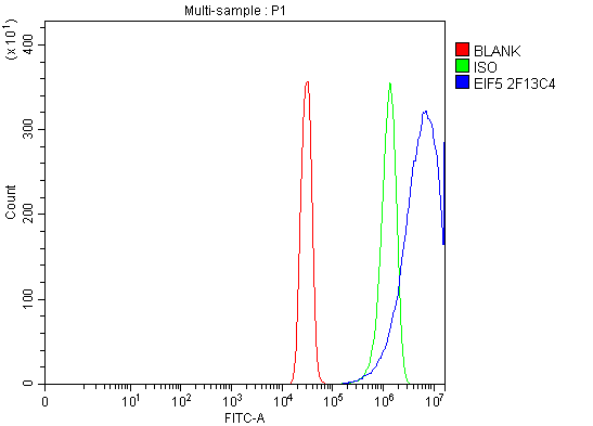 3 - Anti-EIF5 Antibody Picoband™ (monoclonal, 2F13C4) ABO16232