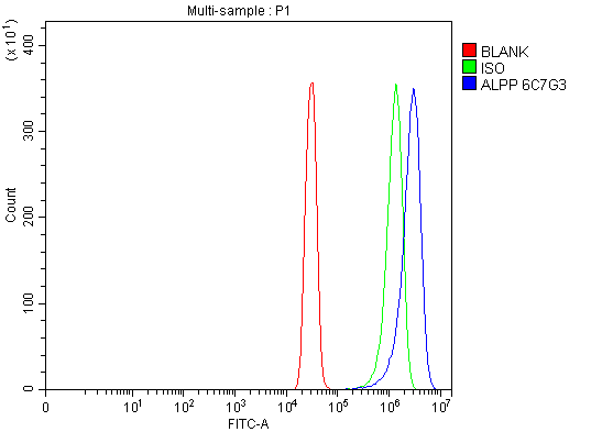 1 - Anti-ALPP Antibody Picoband™ (monoclonal, 6C7G3) ABO16233