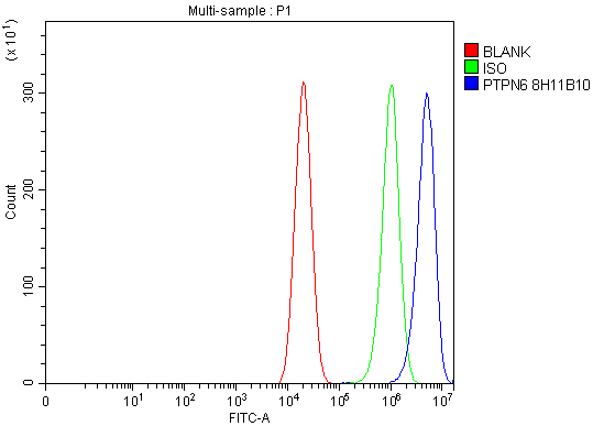1 - Anti-SHP1/PTPN6 Antibody Picoband™ (monoclonal, 8H11B10) ABO16235