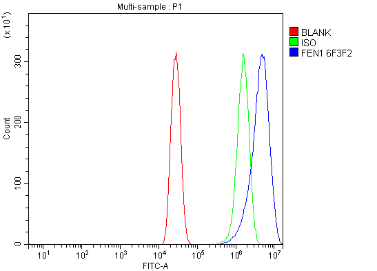 1 - Anti-FEN1 Antibody Picoband™ (monoclonal, 6F3F2) ABO16236