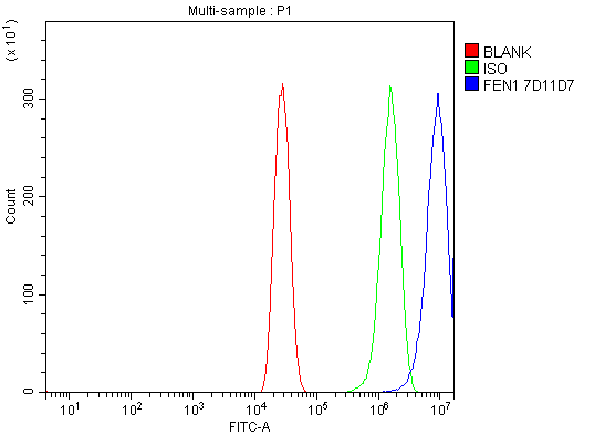 1 - Anti-FEN1 Antibody Picoband™ (monoclonal, 7D11D7) ABO16237