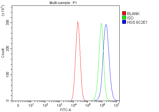 1 - Anti-HGS Antibody Picoband™ (monoclonal, 6C2E1) ABO16241