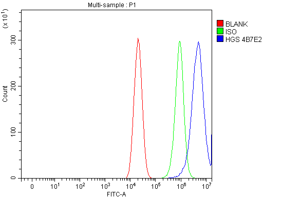 1 - Anti-HGS Antibody Picoband™ (monoclonal, 4B7E2) ABO16242