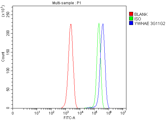 1 - Anti-YWHAE Antibody Picoband™ (monoclonal, 3G11G2) ABO16243