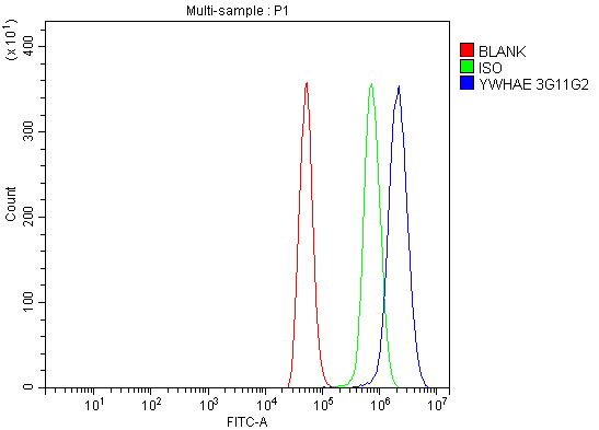 1 - Anti-YWHAE Antibody Picoband™ (monoclonal, 3G11G2) ABO16243