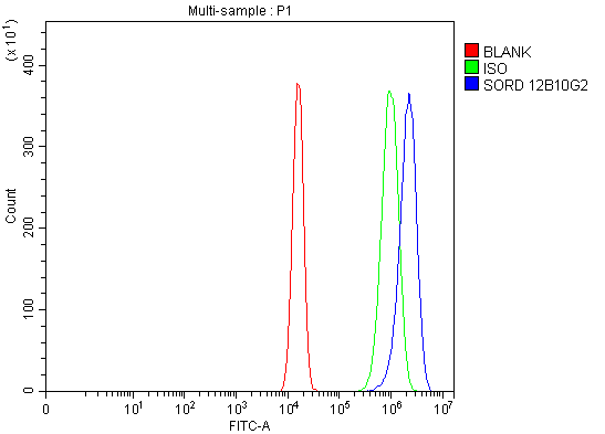 1 - Anti-Sorbitol Dehydrogenase/SORD Antibody Picoband™ (monoclonal, 12B10G2) ABO16245