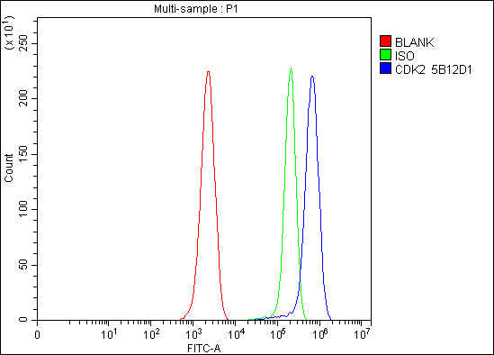 1 - Anti-Cdk2 Antibody Picoband™ (monoclonal, 5B12D1) ABO16246