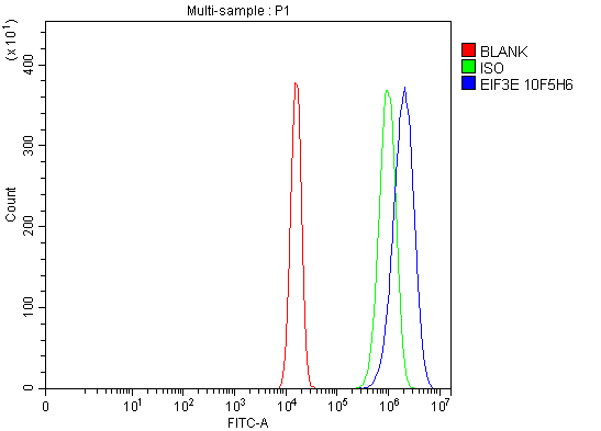 3 - Anti-EIF3e Antibody Picoband™ (monoclonal, 10F5H6) ABO16248