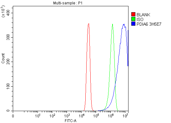 1 - Anti-PDIA6 Antibody Picoband™ (monoclonal, 3H5E7) ABO16253