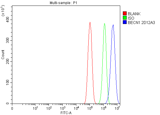 1 - Anti-Beclin 1 Antibody Picoband™ (monoclonal, 2D12A3) ABO16255