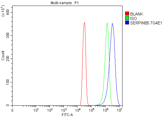 1 - Anti-MASPIN Antibody Picoband™ (monoclonal, 7G4E1) ABO16256