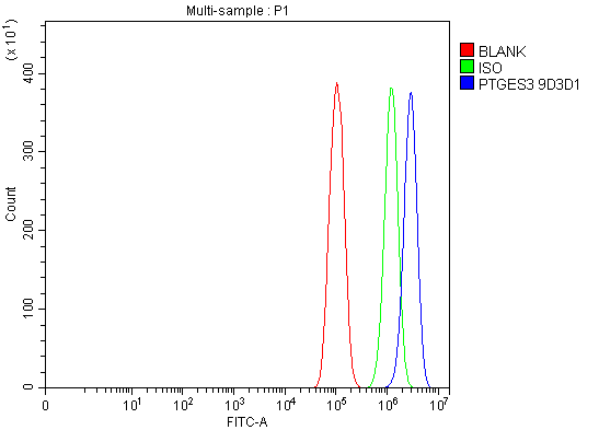 1 - Anti-p23/PTGES3 Antibody Picoband™ (monoclonal, 9D3D1) ABO16258