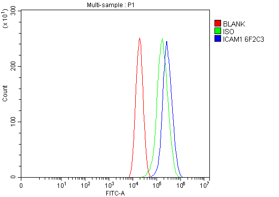 1 - Anti-ICAM1 Antibody Picoband™ (monoclonal, 6F2C3) ABO16259