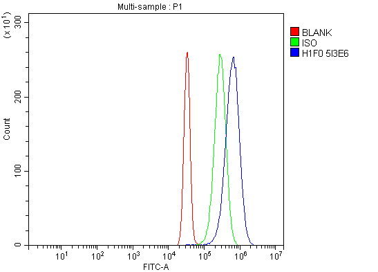 1 - Anti-Histone H1.0/H1F0 Antibody Picoband™ (monoclonal, 5I3E6) ABO16260