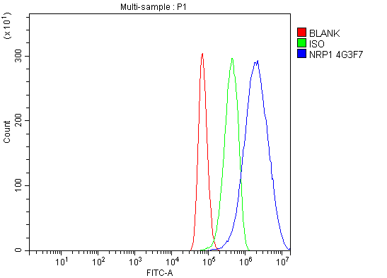 1 - Anti-Neuropilin 1 Antibody Picoband™ (monoclonal, 4G3F7) ABO16266