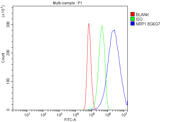 1 - Anti-Neuropilin 1 Antibody Picoband™ (monoclonal, 8G6G7) ABO16267