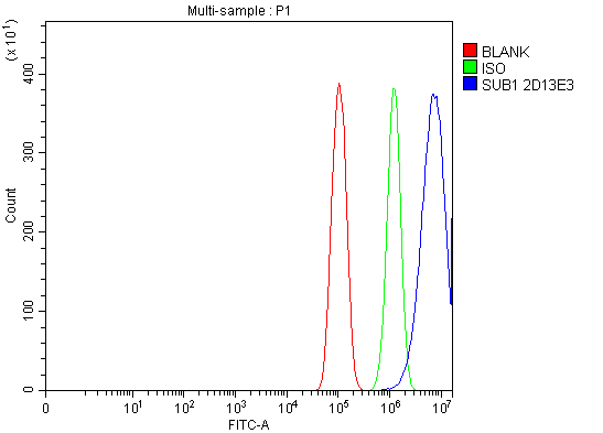 1 - Anti-PC4/SUB1 Antibody Picoband™ (monoclonal, 2D13E3) ABO16268