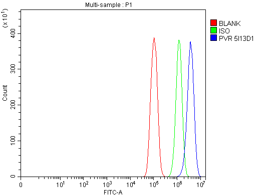 1 - Anti-Poliovirus Receptor/PVR Antibody Picoband™ (monoclonal, 5I13D1) ABO16274
