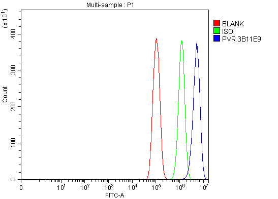 1 - Anti-Poliovirus Receptor/PVR Antibody Picoband™ (monoclonal, 3B11E9) ABO16275