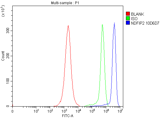 1 - Anti-NDFIP2 Antibody Picoband™ (monoclonal, 10D6D7) ABO16563