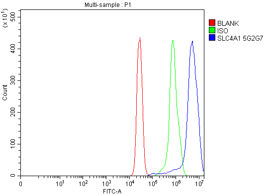 1 - Anti-SLC4A1/CD233/Band 3 Antibody Picoband™ (monoclonal, 5G2G7) ABO16565