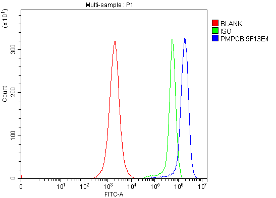 1 - Anti-MPPB/PMPCB Antibody Picoband™ (monoclonal, 9F13E4) ABO16567