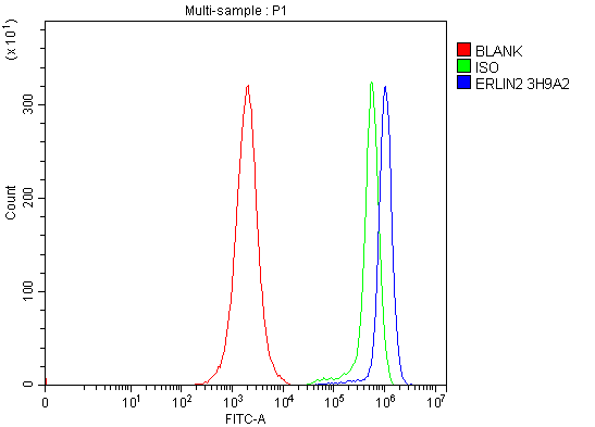 1 - Anti-Erlin-2/ERLIN2 Antibody Picoband™ (monoclonal, 3H9A2) ABO16568