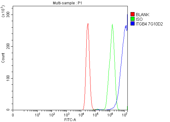 1 - Anti-Integrin beta 4/ITGB4 Antibody Picoband™ (monoclonal, 7G10D2) ABO16569