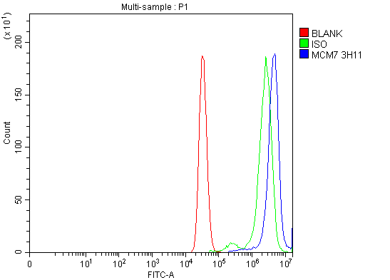 1 - Anti-MCM7 Antibody Picoband™ (monoclonal, 3H11) ABO16570