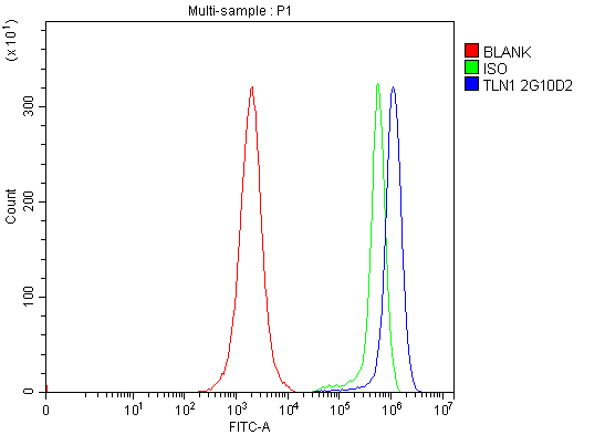 1 - Anti-Talin 1/TLN1 Antibody Picoband™ (monoclonal, 2G10D2) ABO16572