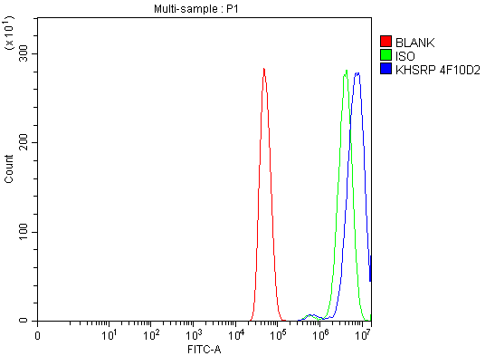 1 - Anti-KHSRP Antibody Picoband™ (monoclonal, 4F10D2) ABO16575