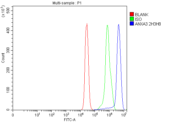 1 - Anti-Annexin A3 Antibody Picoband™ (monoclonal, 2H3H8) ABO16580