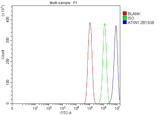 1 - Anti-Ataxin 1 Antibody Picoband™ (monoclonal, 2B13G8) ABO16583